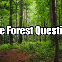 The Forest Question TikTok trend.