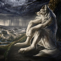 Sitting Wolf Sitting Wolf meme / Lobos Con Frases depicting a werewolf-like character sitting up against a tree looking out over an ocean.