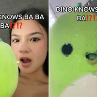 Ba Ba Ba Lin Lin (TikTok Meme)