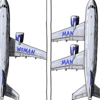 Same Sex Marriage Just Won't Fly Same sex marriage won't fly political cartoon and meme depicting a drawing of a passenger jet with wings  labeled "man" and "woman" and then "man" with both wings on one side.