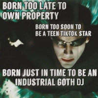 Born Too Late to Own Property Born Too Soon to Be a Teen TikTok Star Born Just In Time To X meme.