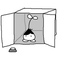 Omoli in a cardboard box.