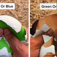 Green Or Blue? Green Or Meme