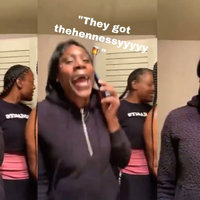 Damn They Got The Hennessy meme depicting a black woman with piercings talking on the phone excitedly.