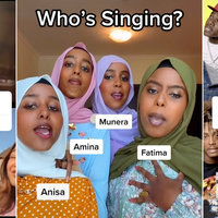 Who Is Singing? TikTok Chalenge