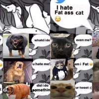 I Hate X Even Me meme examples depicting the girl texting in bed meme alongside dogs and cats.