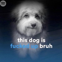 This Dog Is Fucked Up Bruh meme depicting a white dog that looks high with a slight smile.