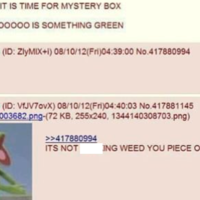 it's not fucking weed you piece of shit stoner meme and catchphrase from 4chan depicting kermit the frog screaming.