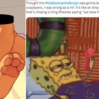 Lola Bunny Challenge example and meme reacting to the trend.