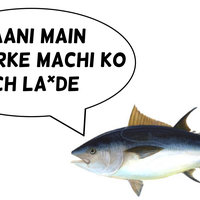 Marathi Name of Tuna Fish Marathi Name Of Tuna Fish meme / Paani main utarke machi ko puch lavde.