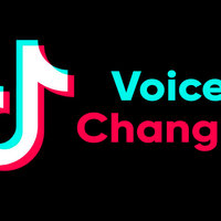 TikTok Voice Changer Feature