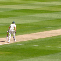 Photo of people playing cricket.
