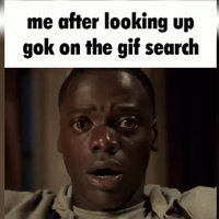 Search "Gok" On Discord GIF Finder Search Gok On Discord GIF Finder meme example.