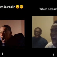 Which Scream Is Real? Which Scream Is Real meme example.