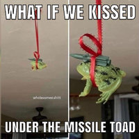Missile Toad meme depicting a missile strapped to a toad hanging from the ceiling.