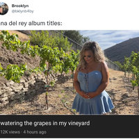 Lana Del Rey Album Titles