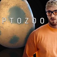 Logan Paul CryptoZoo Controversy logan paul cryptozoo