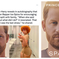 Prince Harry Reveals meme.