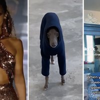 My Name Is Bella Hadid tiktok examples.