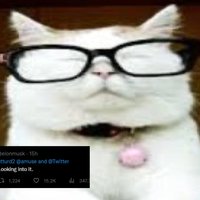 Catturd This is bizarre. Looking into it.