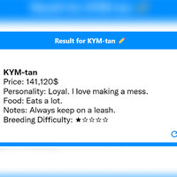 Breeding Difficulty meme example / I Sold You To A Pet Store Toasteed Quiz.