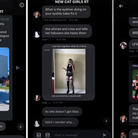 E-Girl Group Chat Leak egirl chat leak message examples.