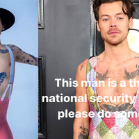 Harry Styles Queerbaiting Bad Outfits examples.