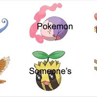 Every Pokémon Is Someone's Favorite