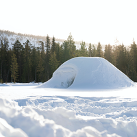 turd igloo slang term meme