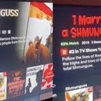 Image of the Shmunguss category on Netflix