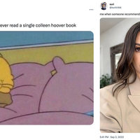 Colleen Hoover meme examples.