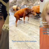 Wow, That's Awesome! (TikTok Sound Effect)