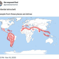 Worldwide Latina Belt