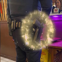 Lunging for the Officer's Gun Lunging for the Officer's Gun meme example.