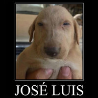 Jose Luis meme dog.