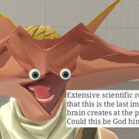 The Last Image the Human Brain Creates at The Point of Death the last image the human brain creates at the point of death could this be the face of god?