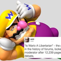 The Greatest Thread in the History of Forums, Locked by a Moderator After 12,239 Pages of Heated Debate wario libertarian dril.