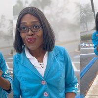 MainlyMannie / Boss And CEO tiktok video and meme.