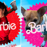 Barbie Movie Poster Memes Barbie Movie Poster meme examples depicting mia goth as pearl and a chihuahua in a sweater.