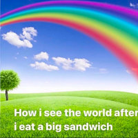 How I See the World After X How I See the World After Rainbow meme.