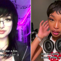 Bunny Pretty, Fox Pretty, Deer Pretty, Cat Pretty Bunny Pretty, Fox Pretty, Deer Pretty, Cat Pretty tiktok videos