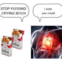 I Wish You Could- STOP FUCKING CRYING BITCH meme