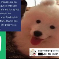 2023 Imgur NSFW Ban / Old Content Purge Imgur TOS Update 2023 content ban.