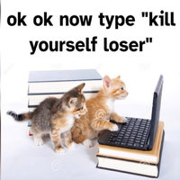 Ok Now Type Kill Yourself Loser / KYS Loser meme example depicting two kittens on a laptop.