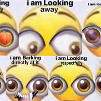 I Am Looking Respectfully emoji edits