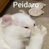 Peidaro (Someone Farted)