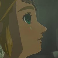 Our Last Line Of Defense Will Be Link Our Last Line Of Defense Will Be Link crying image