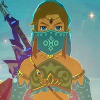 link breath of the wild girl costume