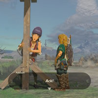 Addison (Tears of the Kingdom) addison tears of the kingdom zelda
