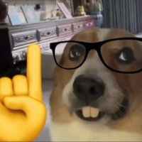Nerd Dog with glasses and buck teeth with finger pointing up meme.